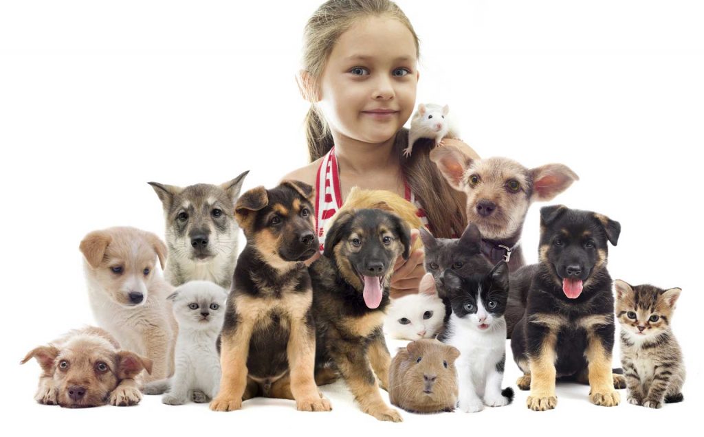 Serviços veterinários Os Patudos